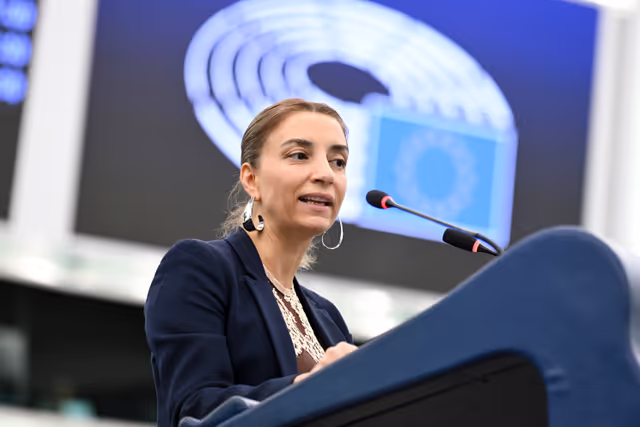 Fotografija 19: EP Plenary session - Recent developments in Palestine and Lebanon