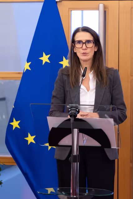 Nuotrauka 5: Sakharov Prize 2025 - Lunch with MEPs