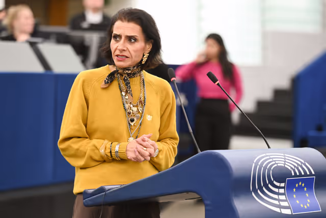 EP Plenarysession - Debates on cases of breaches of human rights, democracy and the rule of law