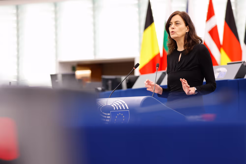 EP Plenary session - European Democracy Shield – very large online platform algorithms, foreign interference and the spread of disinformation