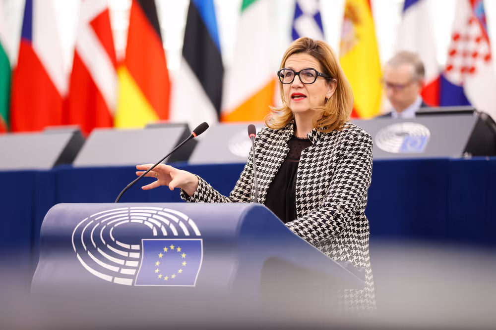 EP Plenary session - European Democracy Shield – very large online platform algorithms, foreign interference and the spread of disinformation