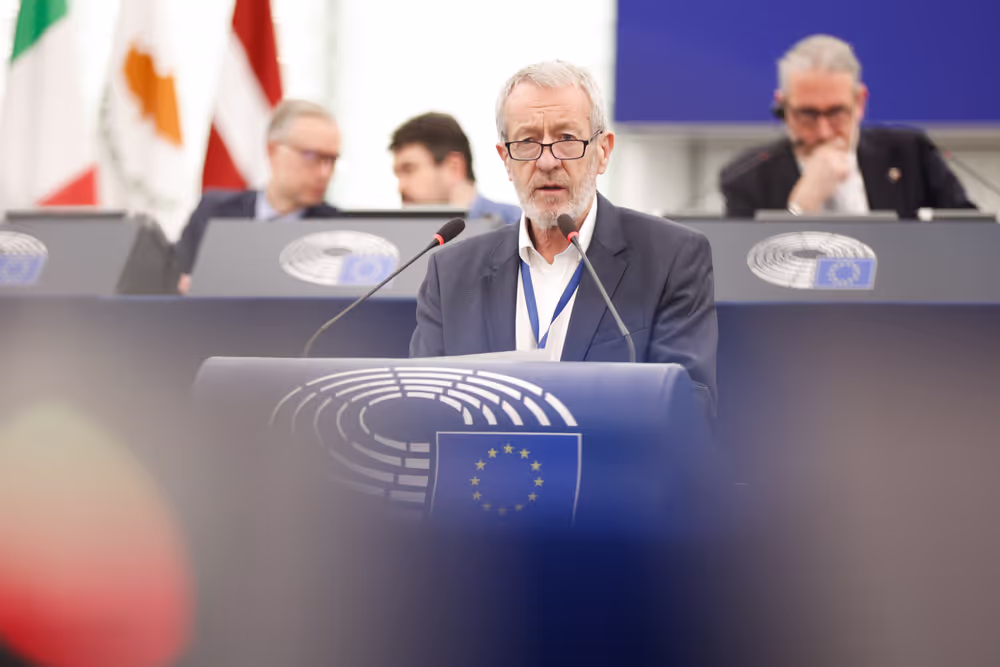 EP Plenary session - European Democracy Shield – very large online platform algorithms, foreign interference and the spread of disinformation