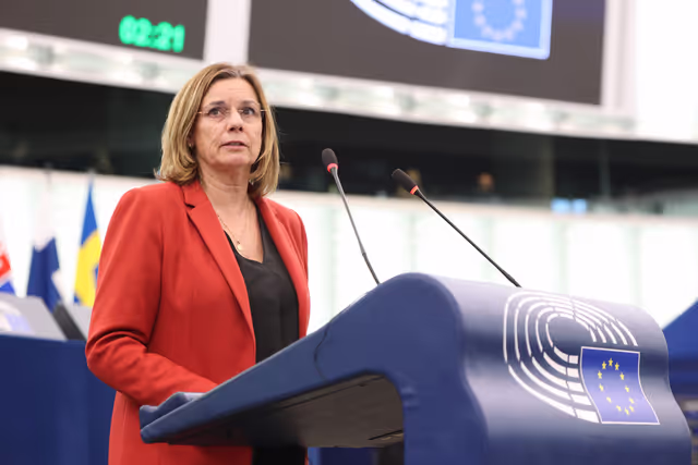 Fotografie 17: EP Plenary session - Dramatic global rise in violent attacks against humanitarian workers and journalists