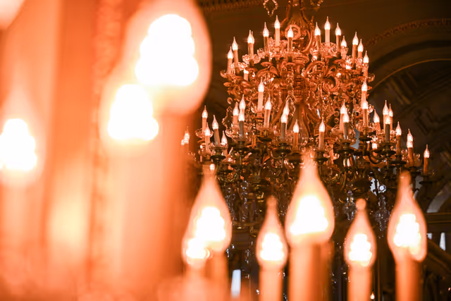 New Year reception at the Belgian Royal Palace for European Authorities