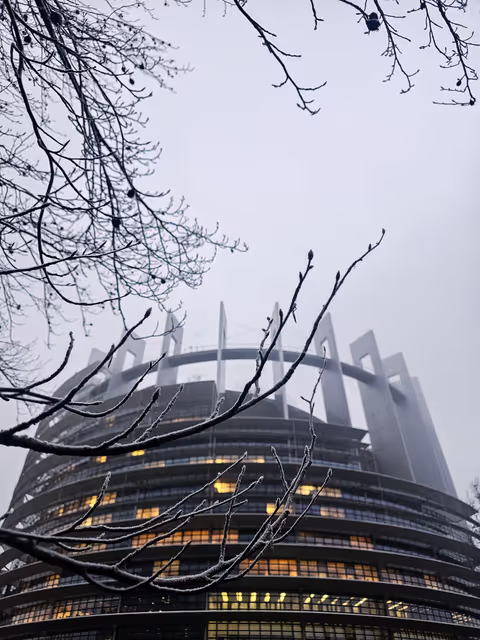 Fotografia 14: Strasbourg's Plenary session through the lens - Week 4.