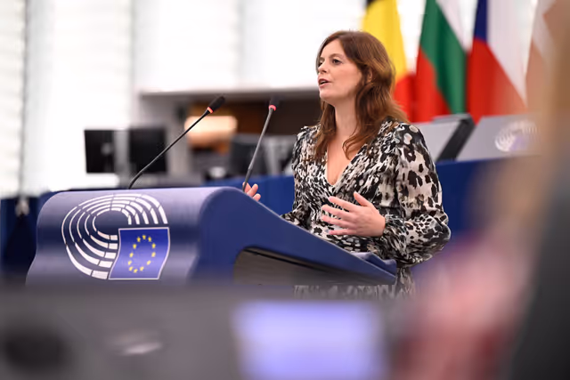 Nuotrauka 46: EP Plenary session - Tackling AI deepfakes and sexual exploitation on social media by making full use of the EU’s digital rules