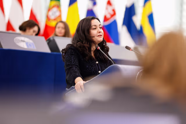 Foto 23: EP Plenary session - Presentation of the programme of activities of the Cyprus Presidency