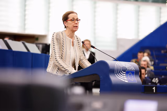 Foto 19: EP Plenary session - Presentation of the programme of activities of the Cyprus Presidency