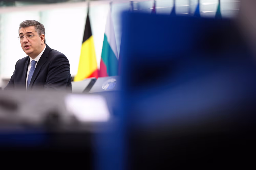 EP Plenary session - Air Passenger Rights