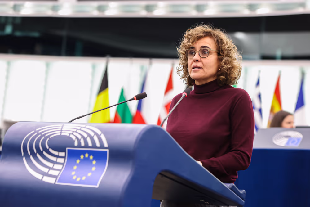 EP Plenary session - Air Passenger Rights