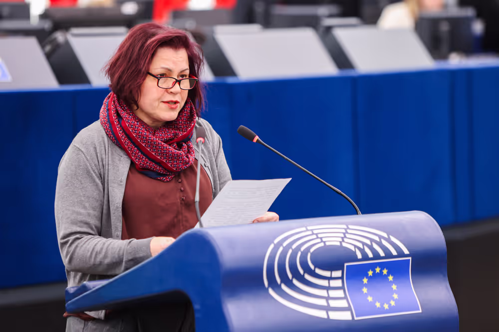 EP Plenary session - Air Passenger Rights