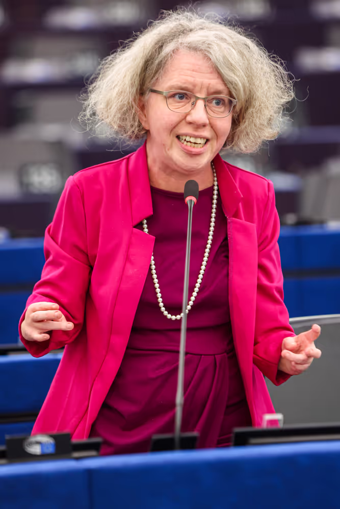 EP Plenary session - Air Passenger Rights