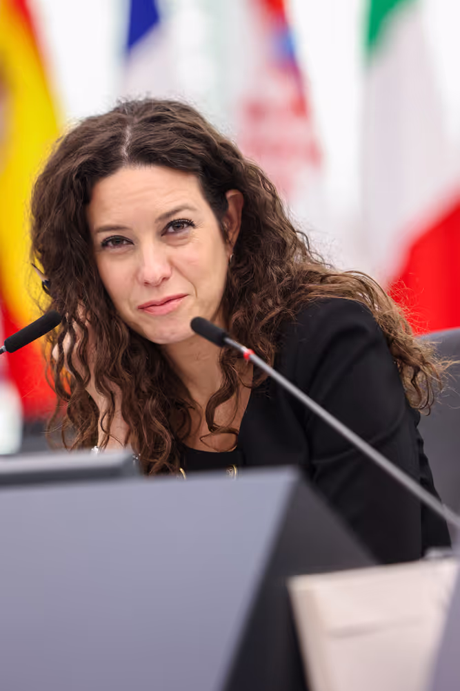 EP Plenary session - Air Passenger Rights