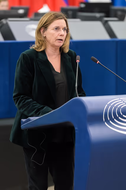 Photo 27: EP Plenary session - Joint debate - CFSP and CSDP