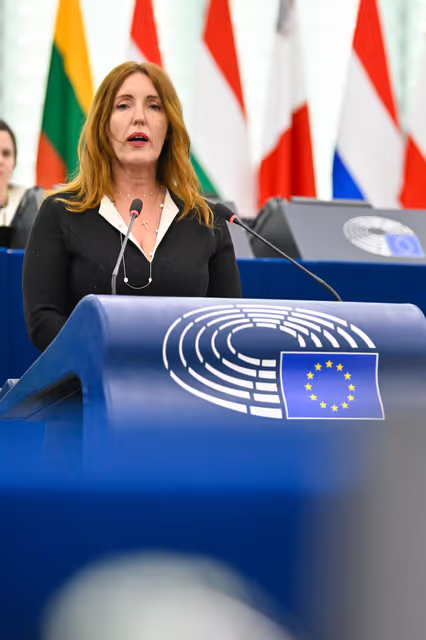 Photo 24 : EP Plenary session - Pending approval of the Hungarian national plan for Security Action for Europe (SAFE) funding