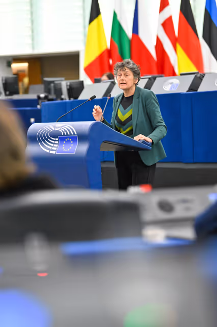 Photo 9 : EP Plenary session - Pending approval of the Hungarian national plan for Security Action for Europe (SAFE) funding