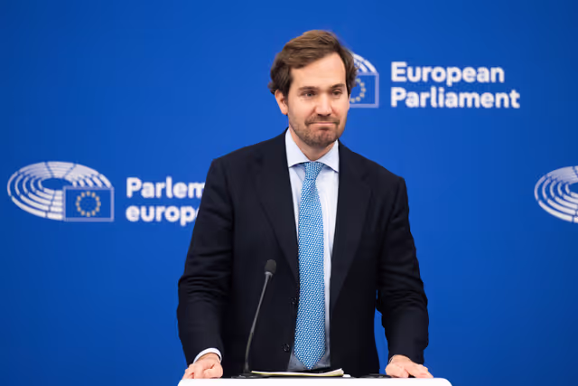 Press conference on the Reform of the European Electoral Act – hurdles to ratification and implementation in the Member States