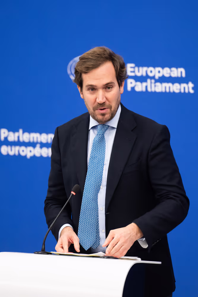 Press conference on the Reform of the European Electoral Act – hurdles to ratification and implementation in the Member States