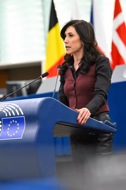 EP Plenary session - Restoring control of migration: returns, visa policy and third-country cooperation