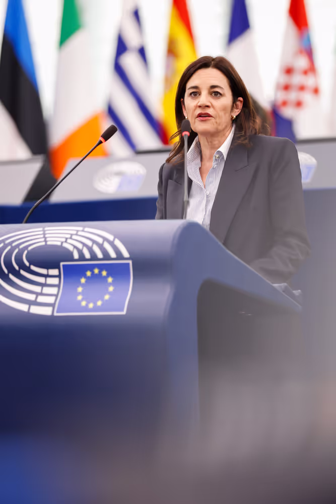 EP Plenary session - Preparations for the EU-India summit