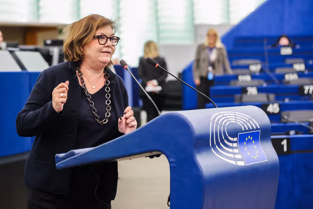 Valokuva 9: EP Plenary session - Presentation of the Digital Networks Act