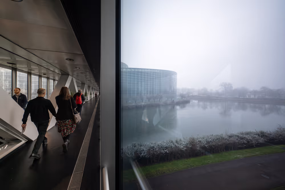 Strasbourg's Plenary session through the lens - Week 4.