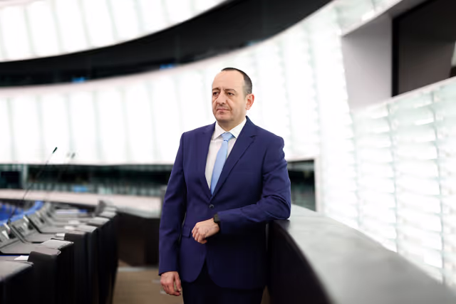 Nuotrauka 9: Geadis GEADI in the EP in Strasbourg