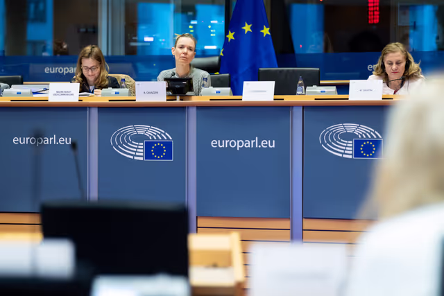 IMCO - Protecting minors from sexualised AI content on TikTok and X/Grok: Implications under the DSA