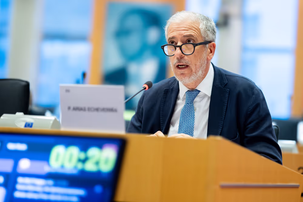 IMCO - Protecting minors from sexualised AI content on TikTok and X/Grok: Implications under the DSA