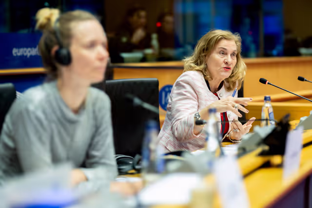 Photo 10: IMCO - Protecting minors from sexualised AI content on TikTok and X/Grok: Implications under the DSA