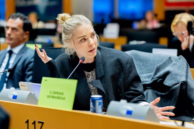 Photo 6: IMCO - Protecting minors from sexualised AI content on TikTok and X/Grok: Implications under the DSA