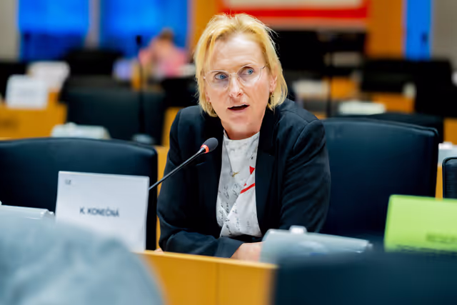 Photo 1: IMCO - Protecting minors from sexualised AI content on TikTok and X/Grok: Implications under the DSA