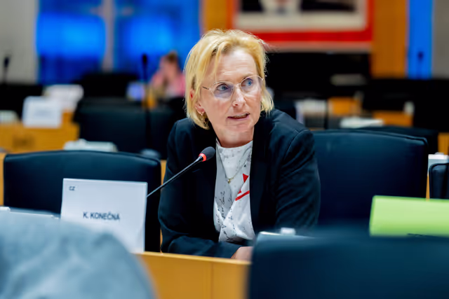 Photo 2: IMCO - Protecting minors from sexualised AI content on TikTok and X/Grok: Implications under the DSA