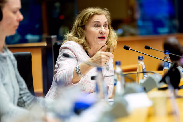 Photo 9: IMCO - Protecting minors from sexualised AI content on TikTok and X/Grok: Implications under the DSA