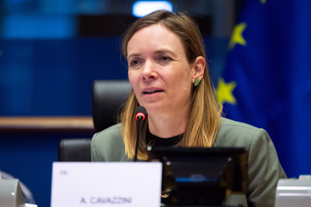 IMCO - Illegal and unsafe products online: SHEIN under the EU spotlight