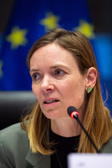 Nuotrauka 34: IMCO - Illegal and unsafe products online: SHEIN under the EU spotlight