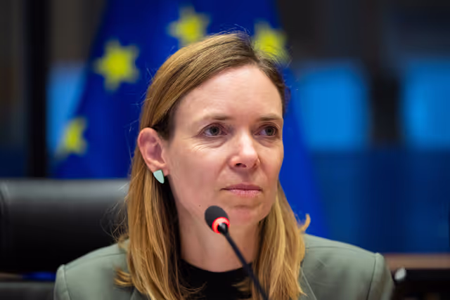 Nuotrauka 33: IMCO - Illegal and unsafe products online: SHEIN under the EU spotlight