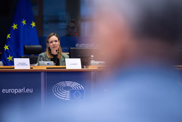 Nuotrauka 32: IMCO - Illegal and unsafe products online: SHEIN under the EU spotlight