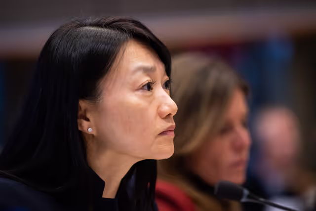 Nuotrauka 31: IMCO - Illegal and unsafe products online: SHEIN under the EU spotlight