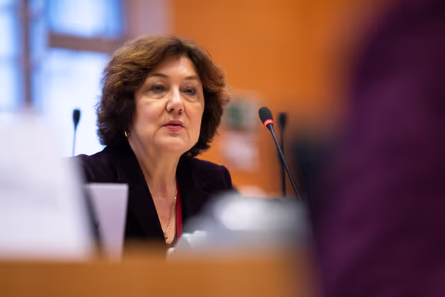 Nuotrauka 30: IMCO - Illegal and unsafe products online: SHEIN under the EU spotlight