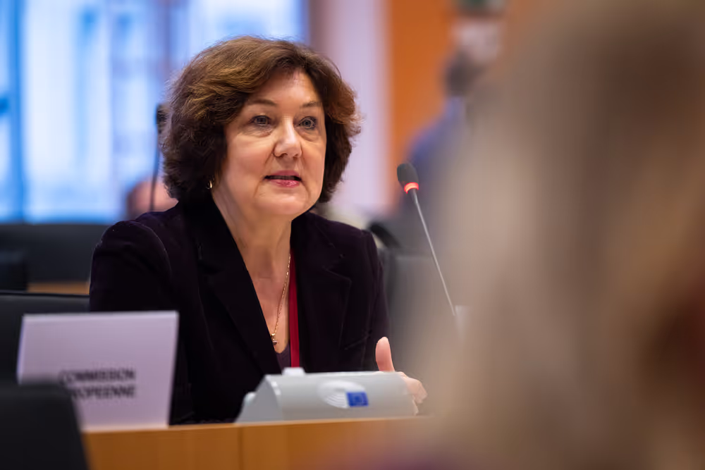 IMCO - Illegal and unsafe products online: SHEIN under the EU spotlight