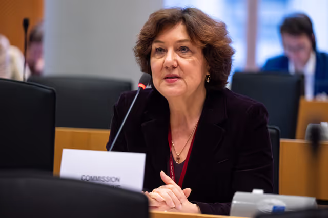 Nuotrauka 28: IMCO - Illegal and unsafe products online: SHEIN under the EU spotlight