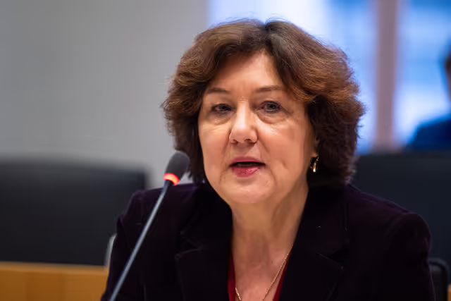 Nuotrauka 27: IMCO - Illegal and unsafe products online: SHEIN under the EU spotlight