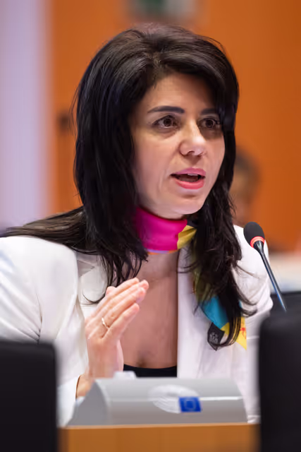 Nuotrauka 25: IMCO - Illegal and unsafe products online: SHEIN under the EU spotlight