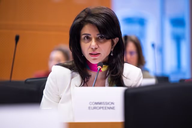 Nuotrauka 24: IMCO - Illegal and unsafe products online: SHEIN under the EU spotlight