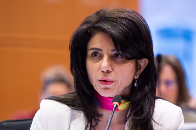 Nuotrauka 23: IMCO - Illegal and unsafe products online: SHEIN under the EU spotlight