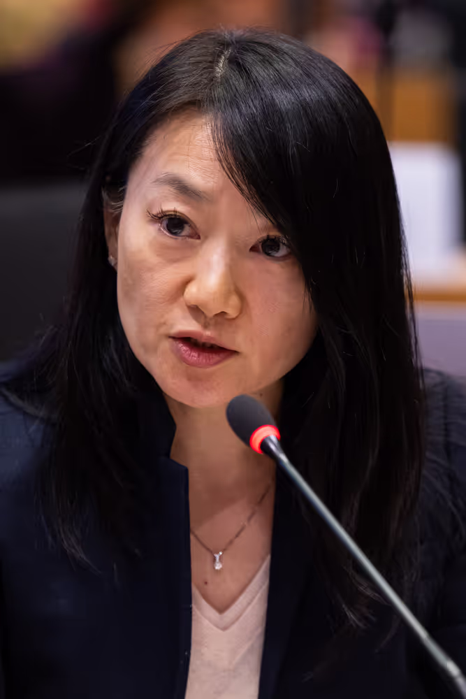 IMCO - Illegal and unsafe products online: SHEIN under the EU spotlight