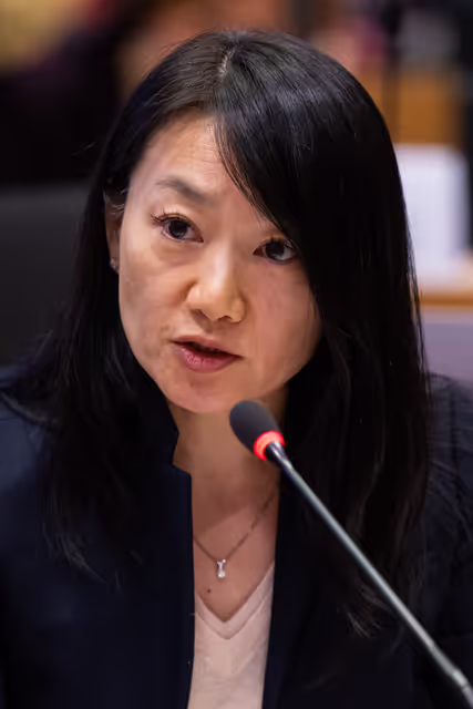 Nuotrauka 19: IMCO - Illegal and unsafe products online: SHEIN under the EU spotlight