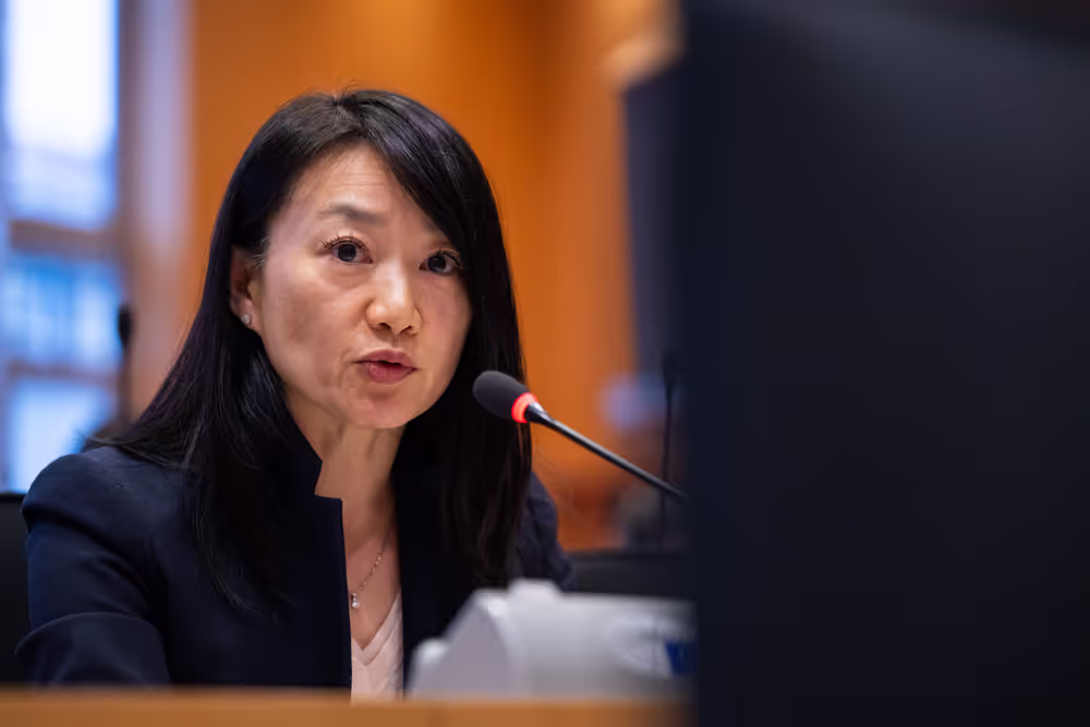 IMCO - Illegal and unsafe products online: SHEIN under the EU spotlight