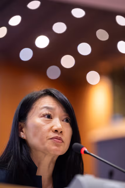 Nuotrauka 20: IMCO - Illegal and unsafe products online: SHEIN under the EU spotlight